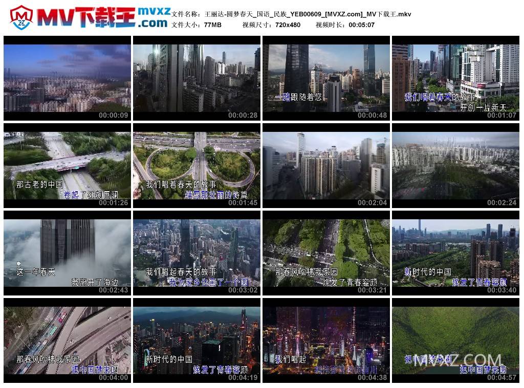 王丽达-圆梦春天_国语_民族_YEB00609